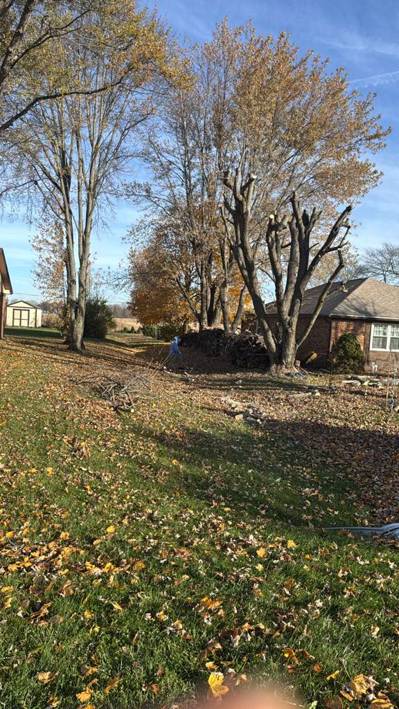 Imagen de WhatsApp 2025-11-12 a las 08.57.42_88abf368