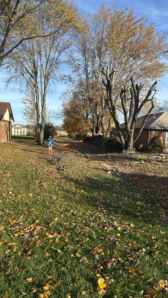 Imagen de WhatsApp 2025-11-12 a las 08.58.05_283c59f2